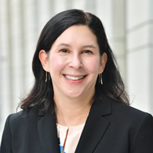 Ilene Strauss, Director of Writing and Lawyering Programs; Clinical Associate Professor of Law