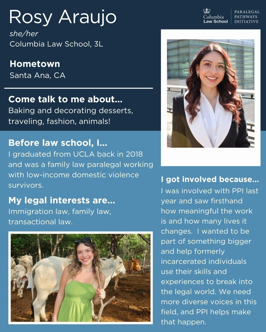 Rosy Araujo PPI Profile